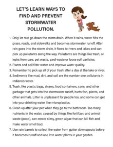 Coloring Book Information